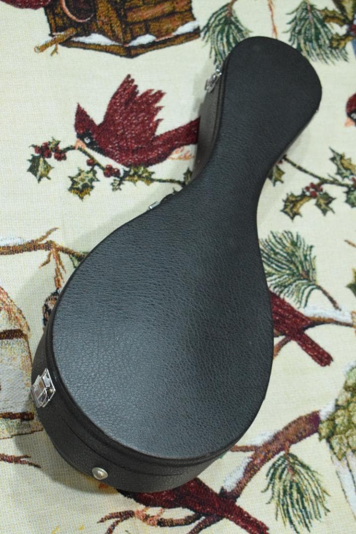 【新品弦張り替え済】Suzuki マンドリン M-30【ハードケース付】