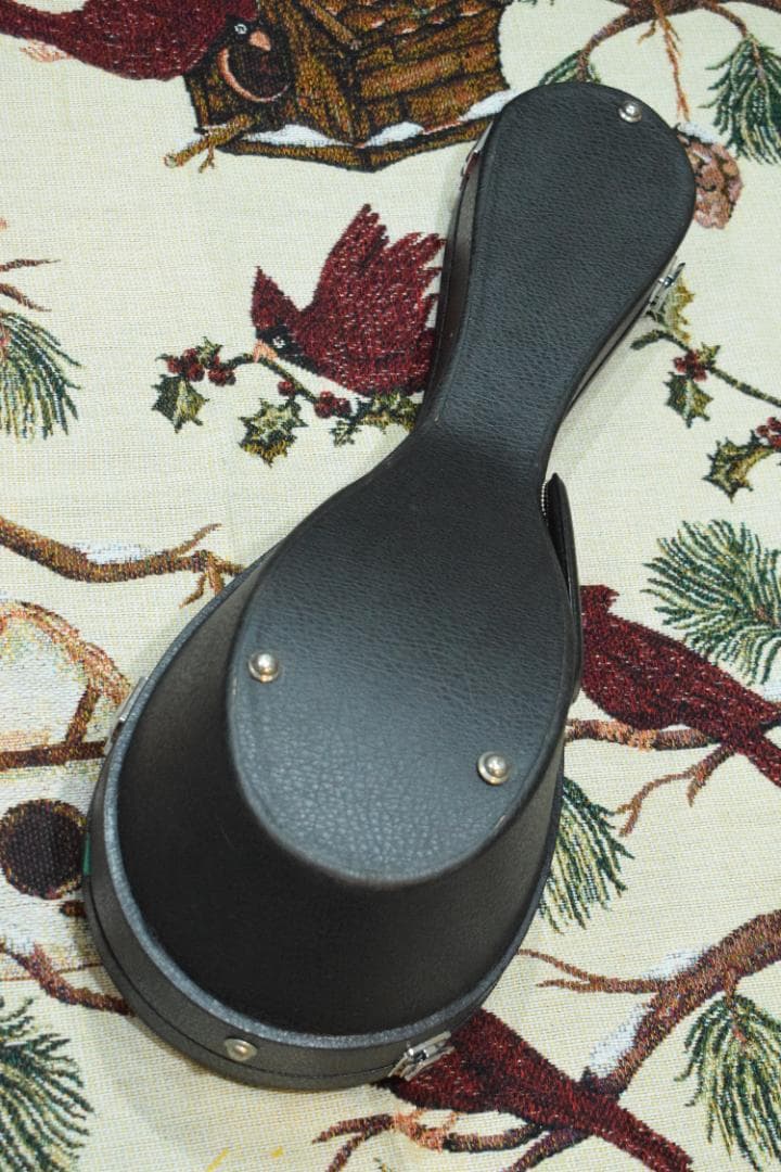 【新品弦張り替え済】Suzuki マンドリン M-30【ハードケース付】