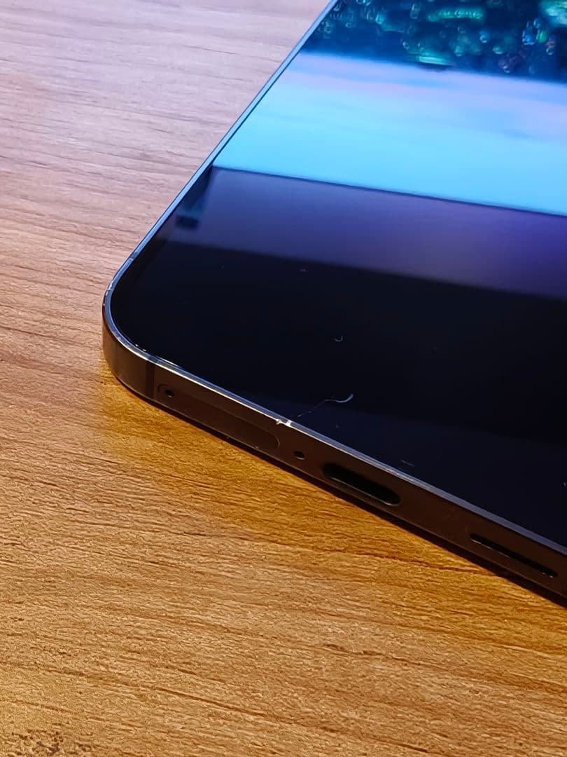 [Fahrizal] S24 SM-S9210 256GB グローバル版