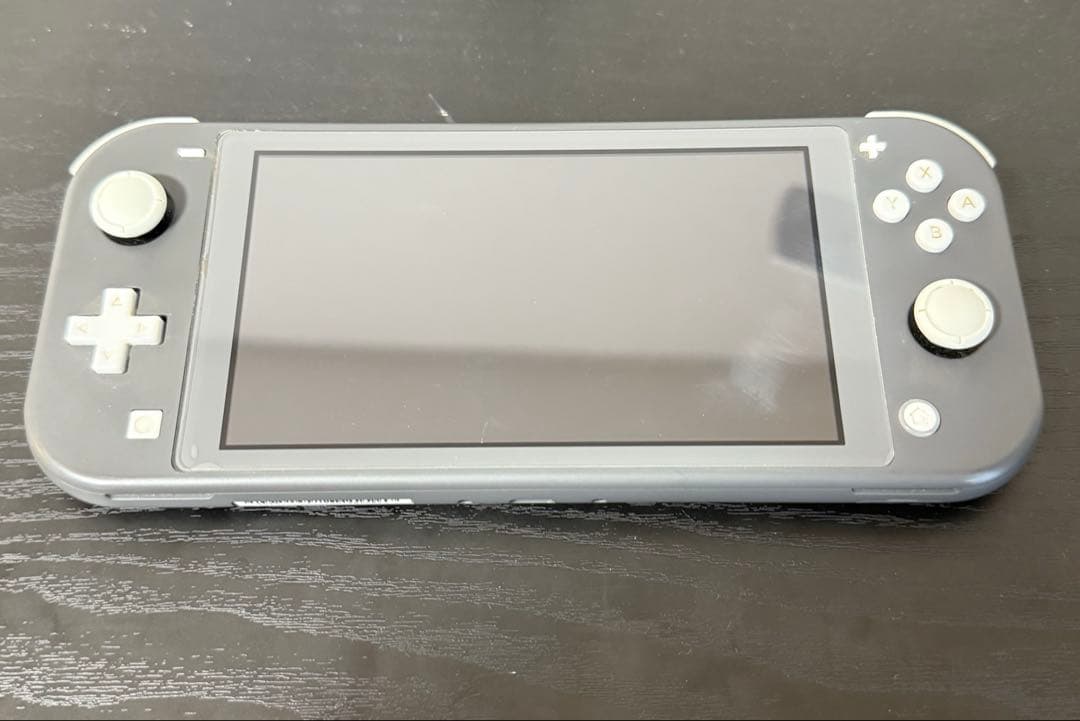 Nintendo Switch Lite グレー 本体　即日出品可能