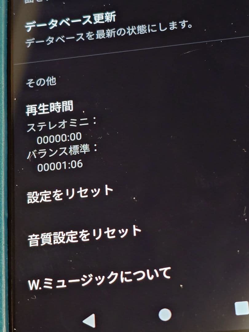 ポータブルプレーヤー SONY NW-WM1AM2