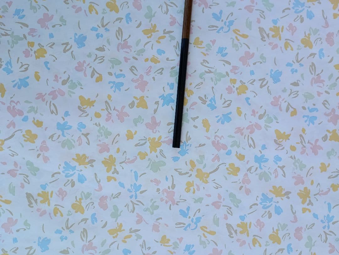 ヘラブナ釣り竿シマノ先抜け