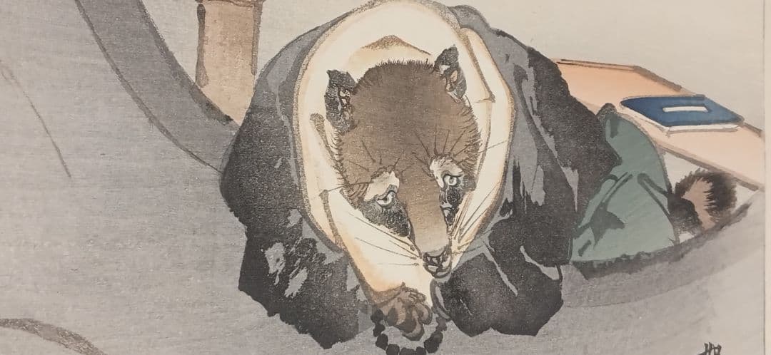 小説故郷の口絵中沢弘光画と河鍋暁斎の口絵狸の2枚売りです