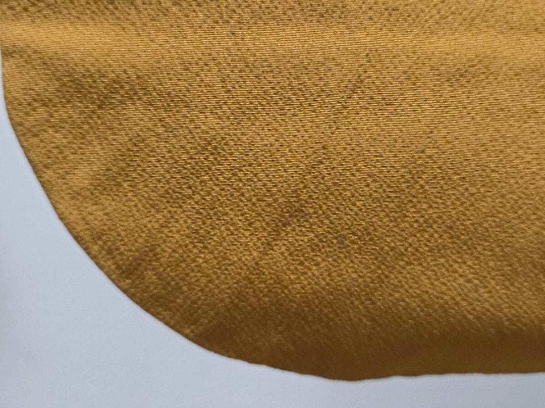 F5 橘の花模様 金駒刺繍 金彩 縮緬 山吹色 袷 正絹 成人式 振袖襦袢セット