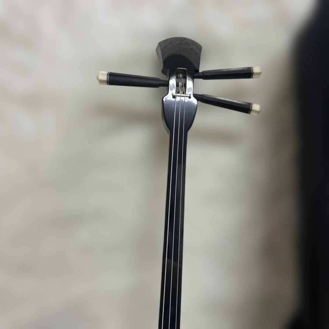 【極美品】沖縄三線 ソフトケース付 入門者向け 弦楽器 和楽器 人工革ヘビ