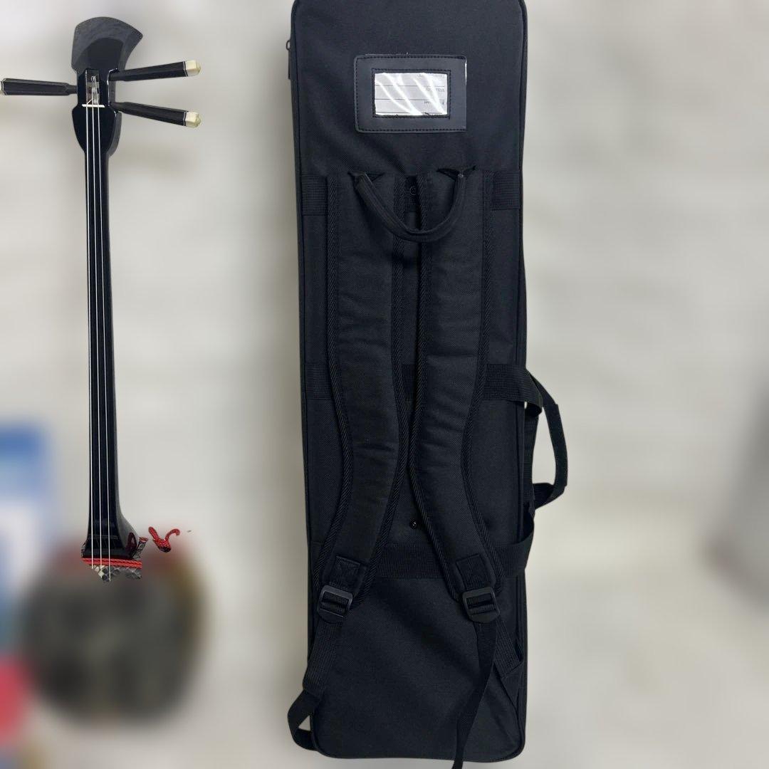 【極美品】沖縄三線 ソフトケース付 入門者向け 弦楽器 和楽器 人工革ヘビ
