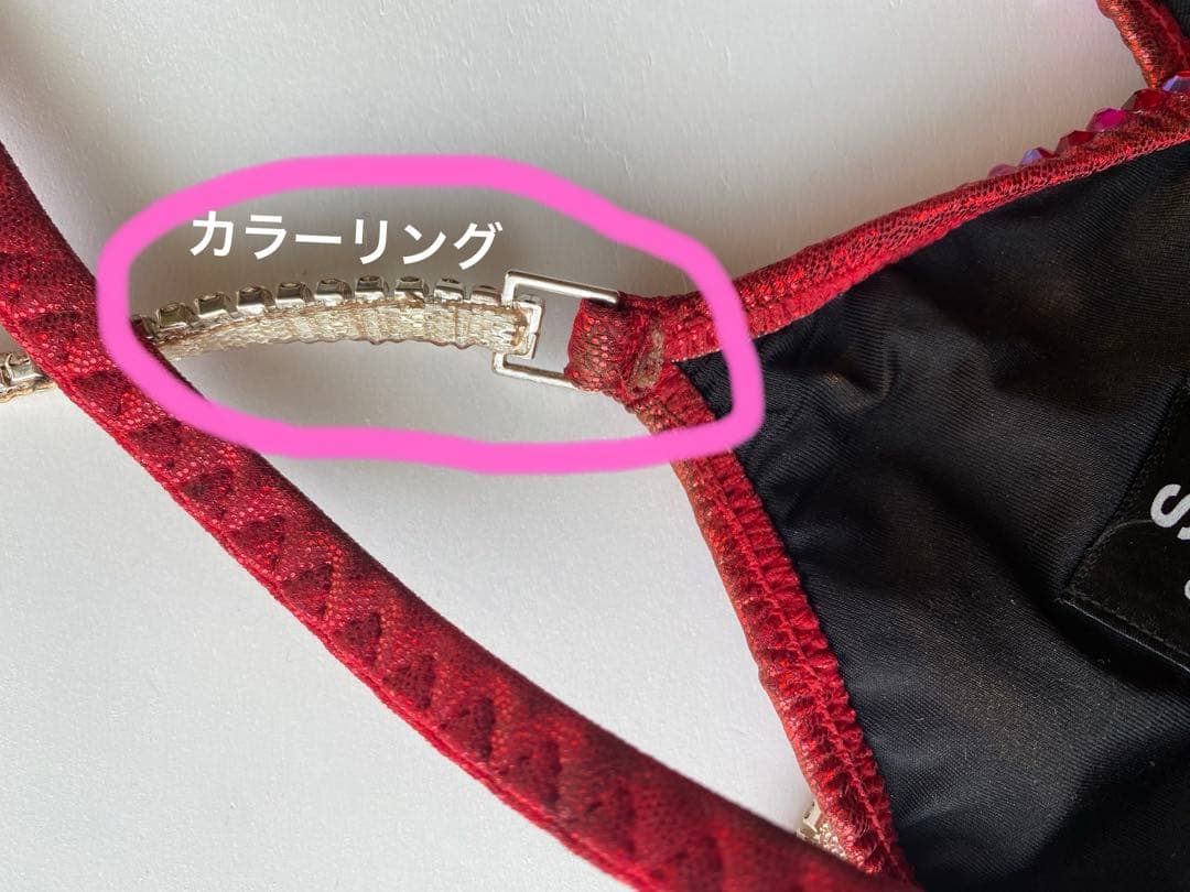 コンテスト　ビキニ　NABBA