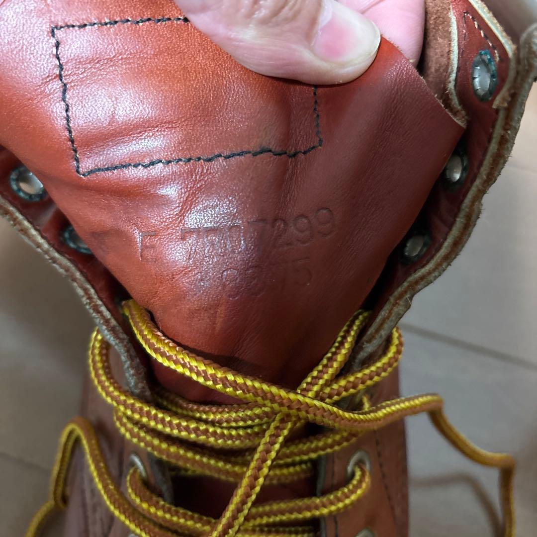 レッドウイング アイリッシュセッター 8875犬タグ