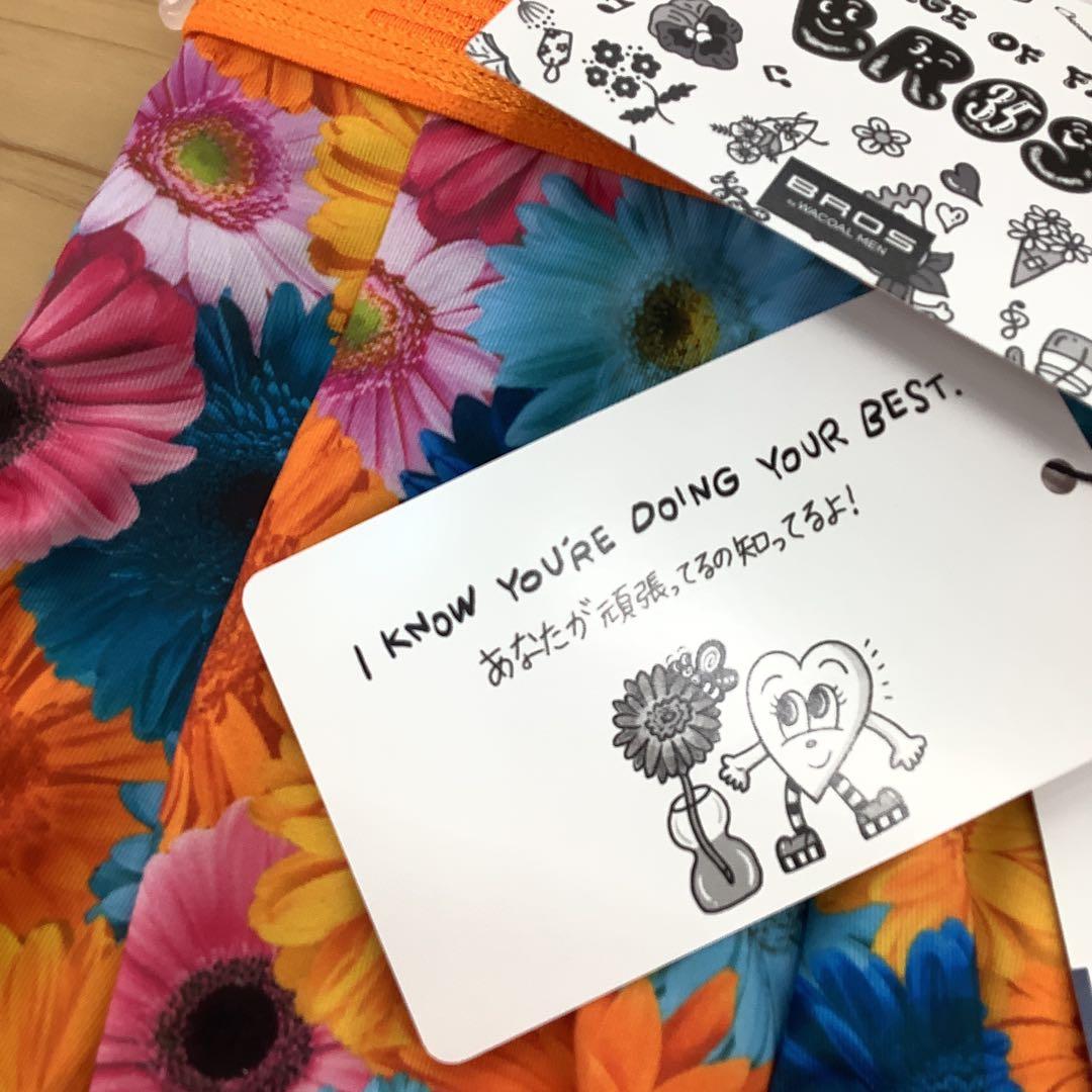 ワコール　BROS Chocomooさんとのコラボ　ボクサーパンツ　4色　M