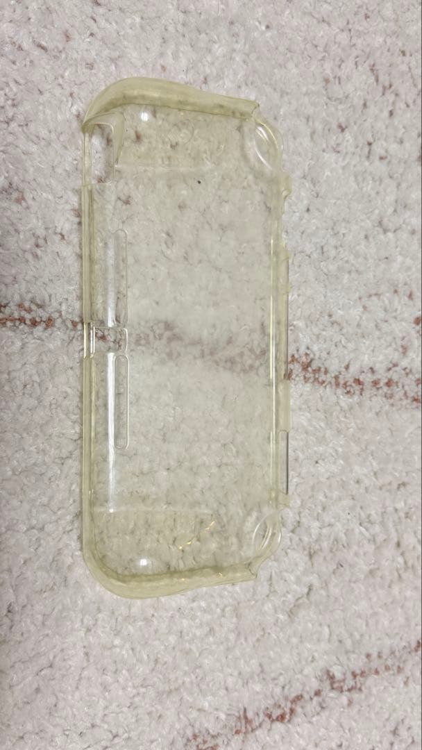 Nintendo Switch Lite ディアルガ・パルキア　ケース付き