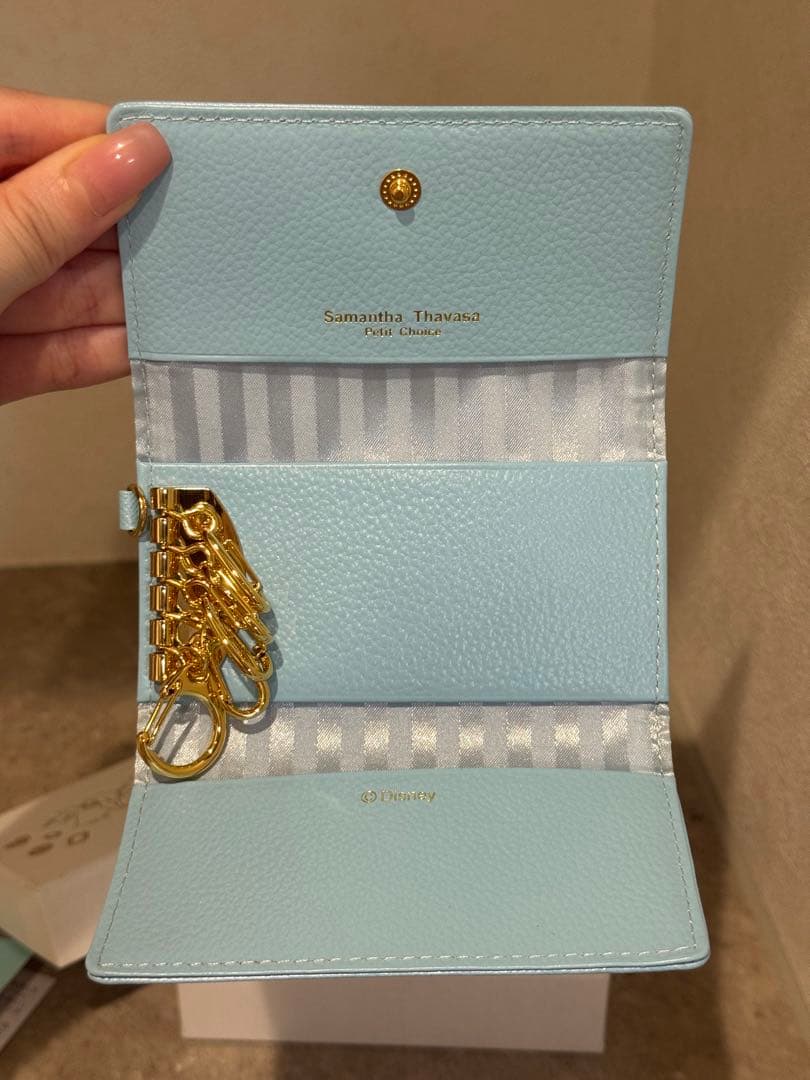 【新品】Samantha Thavasa♡ディズニープリンセスキーケース 水色
