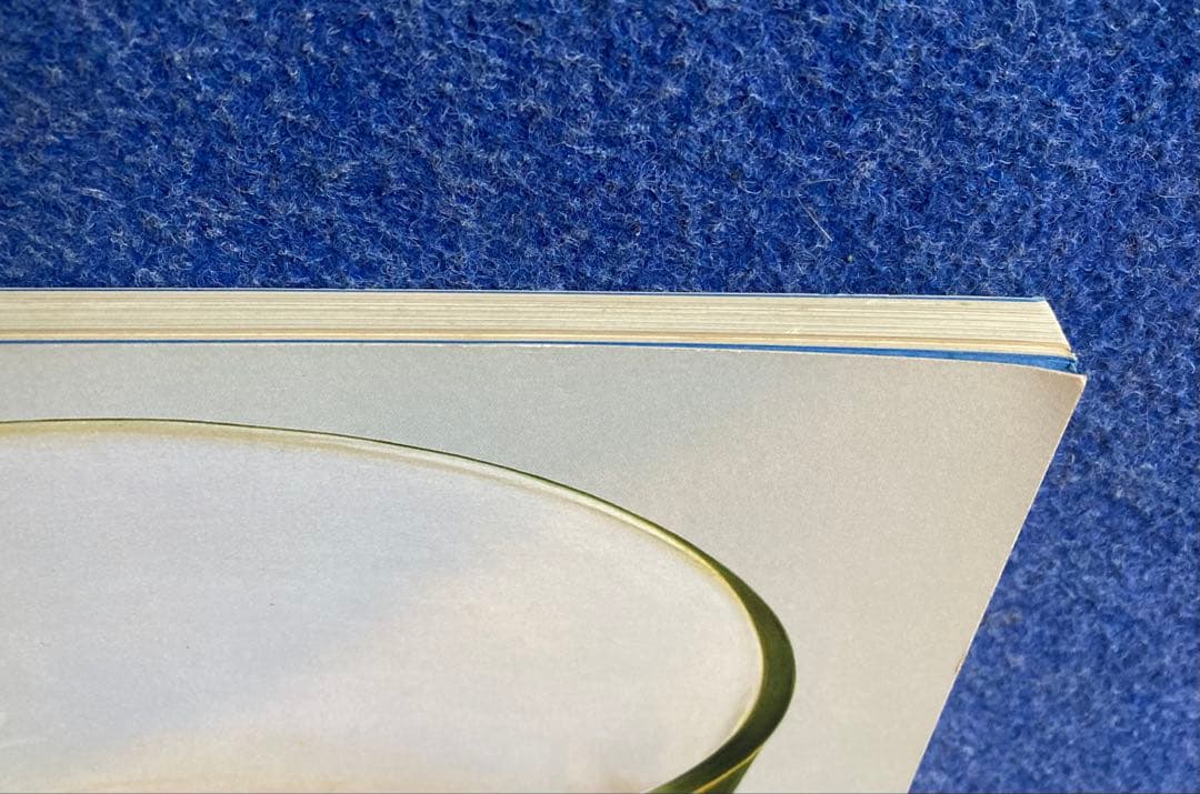 写真と絵画　その相似と相異　図録