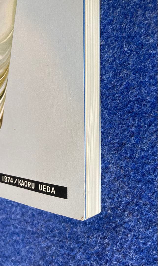 写真と絵画　その相似と相異　図録