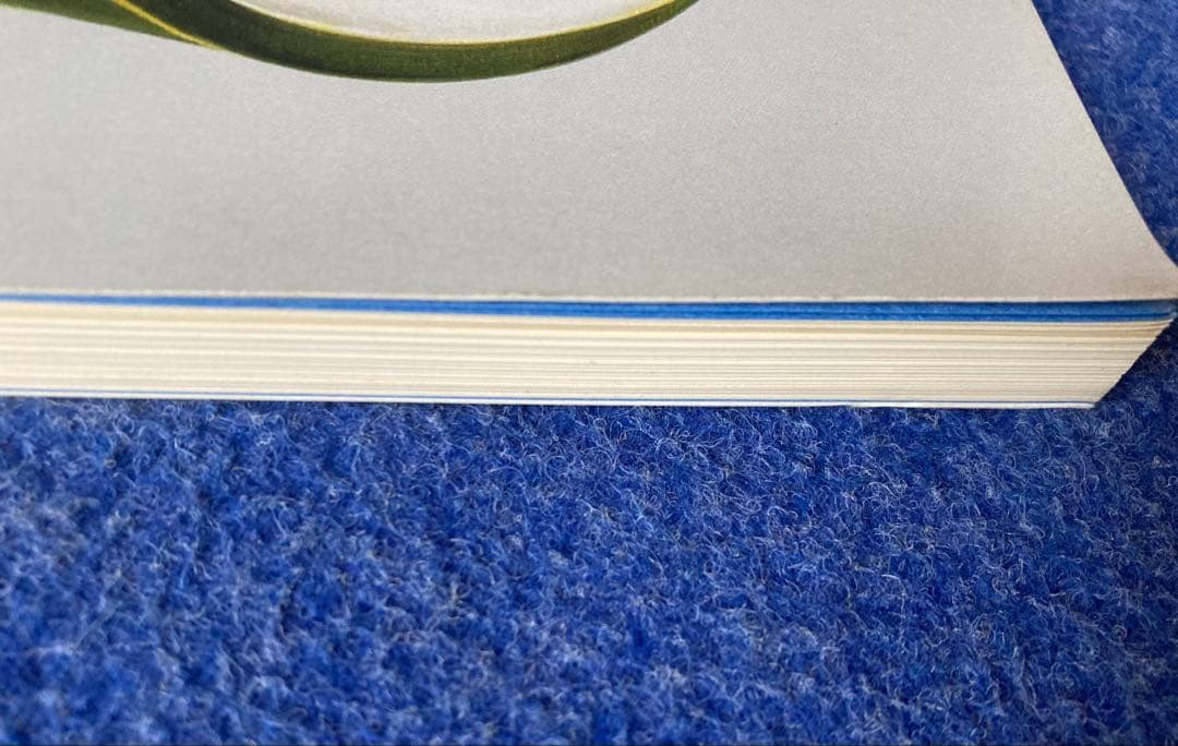 写真と絵画　その相似と相異　図録