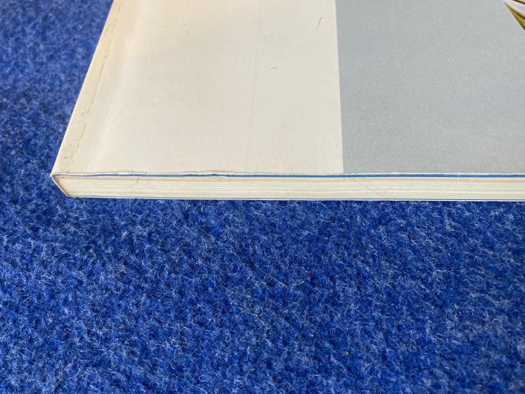 写真と絵画　その相似と相異　図録