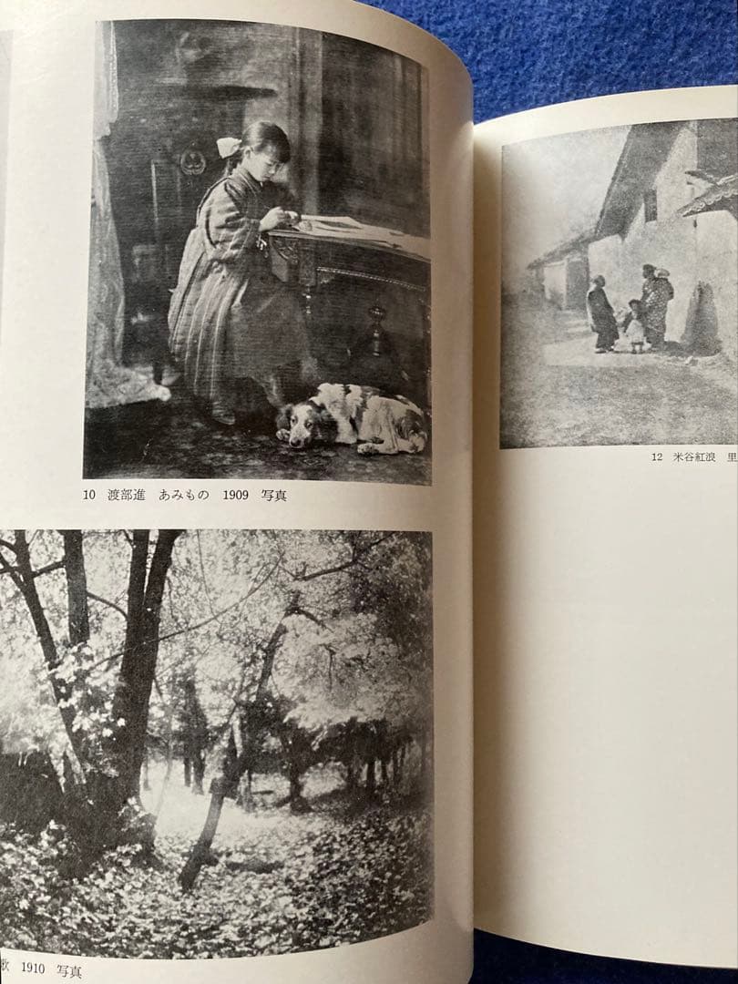 写真と絵画　その相似と相異　図録