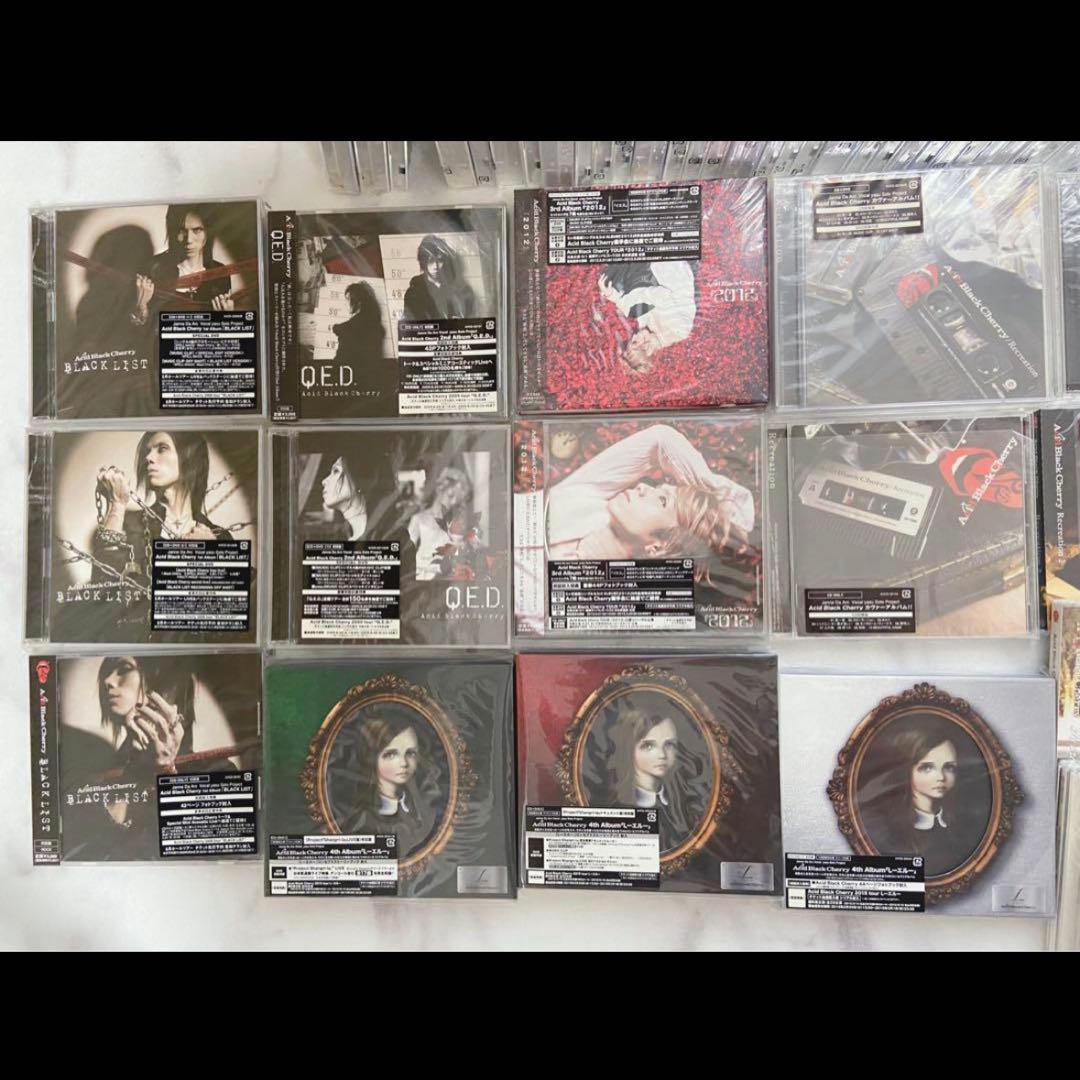 【レア品あり】Acid Black Cherry 73点セット