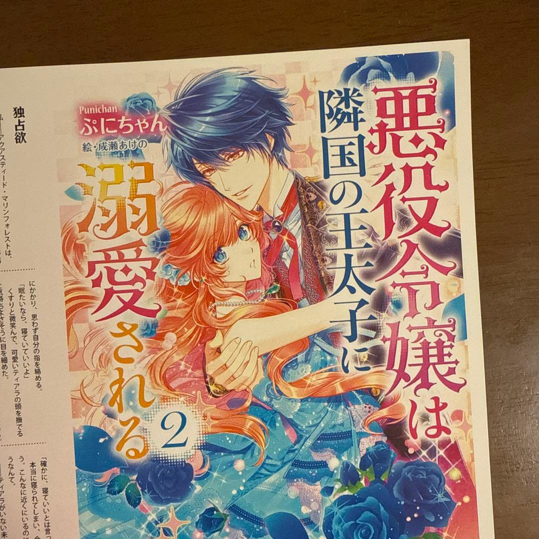 悪役令嬢は隣国の王太子に溺愛される　２