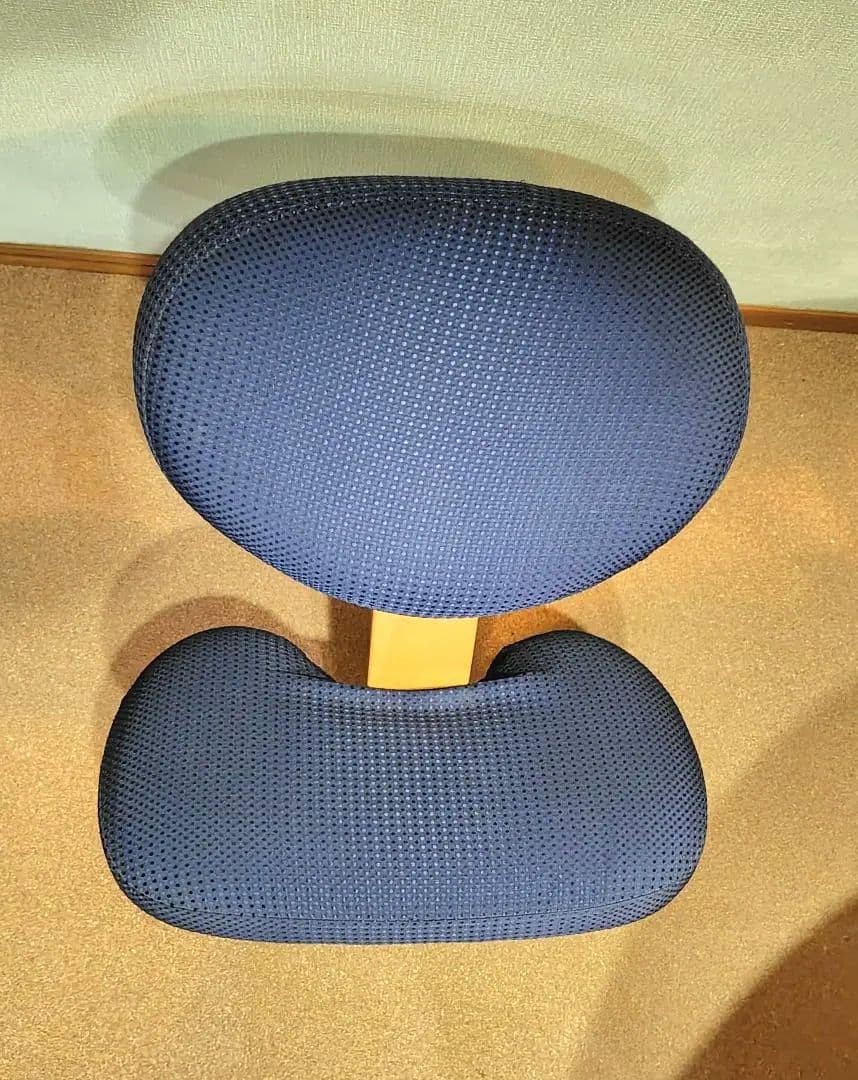 Rybo リボ　バランスチェアイージー　姿勢矯正　 デスクチェア　カバー付き