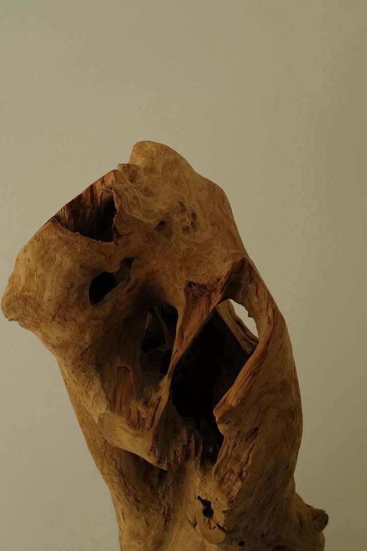 希少　Primitive Sculpture