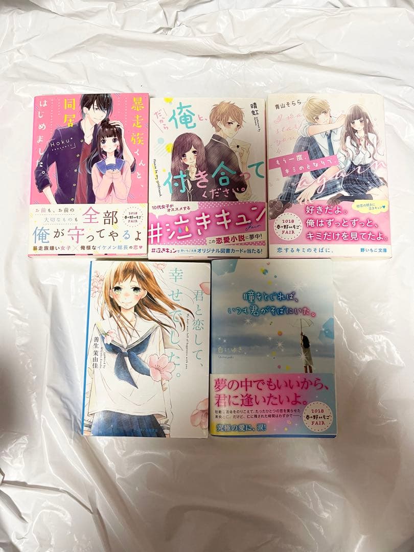 野いちご文庫 19冊