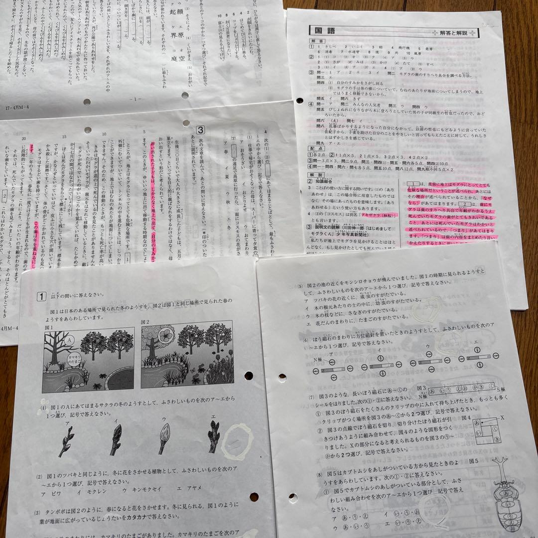 SAPIX 入室テスト 組分けテスト 確認テスト 4年生 1年分