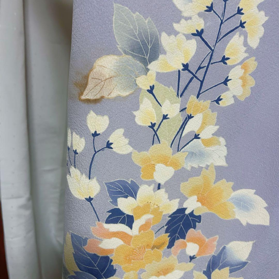 正絹　縮緬　友禅　振袖　フルセット　８点　可憐　モダン