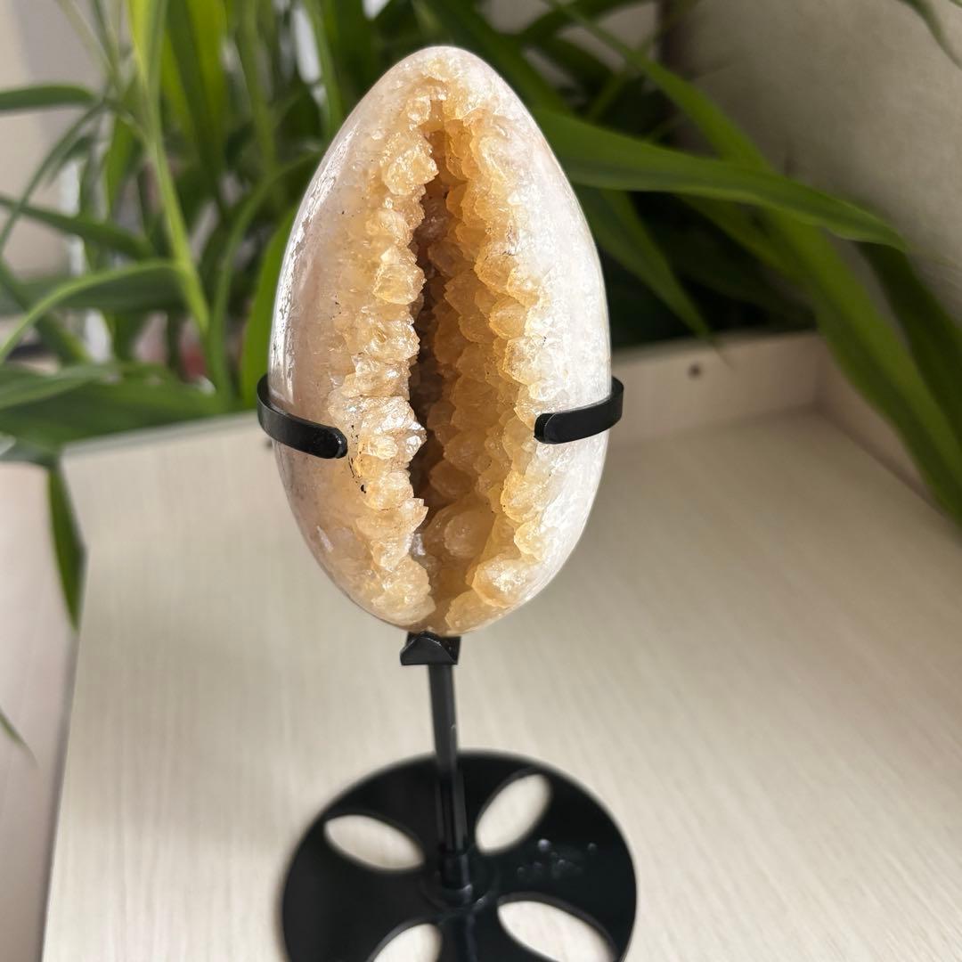 シトリン オールカット 卵 専用台座付き