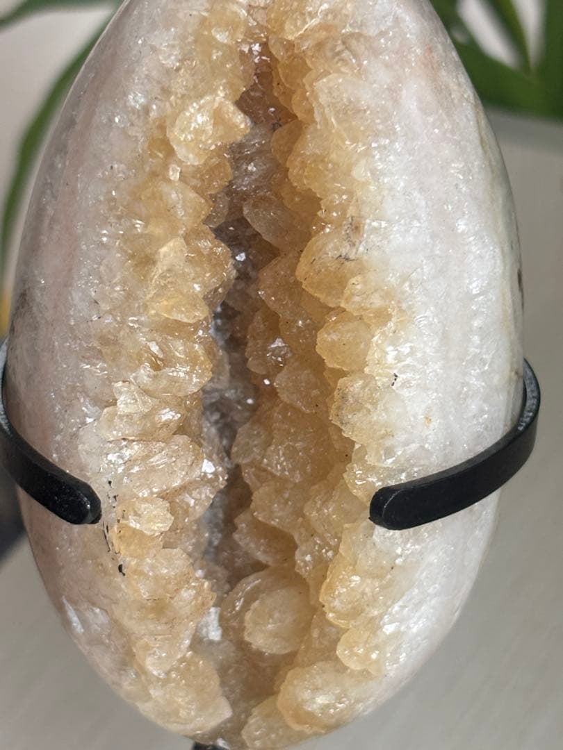 シトリン オールカット 卵 専用台座付き