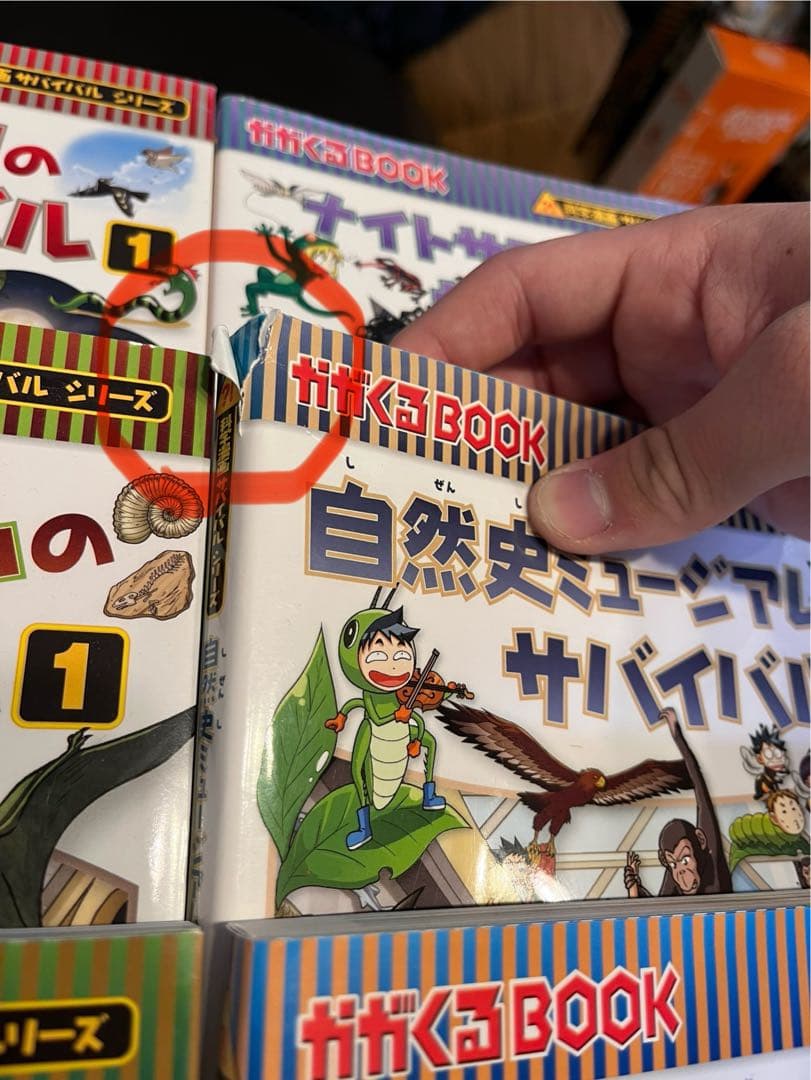 サバイバルシリーズ　全33巻（バラ対応可）