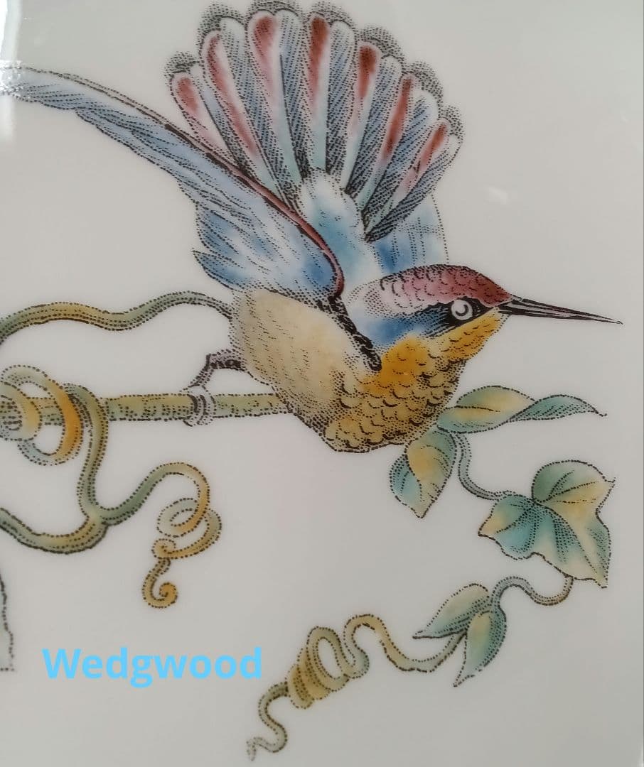 【希少品】 ハミングバード 鳥の絵柄 オーバル40cm皿