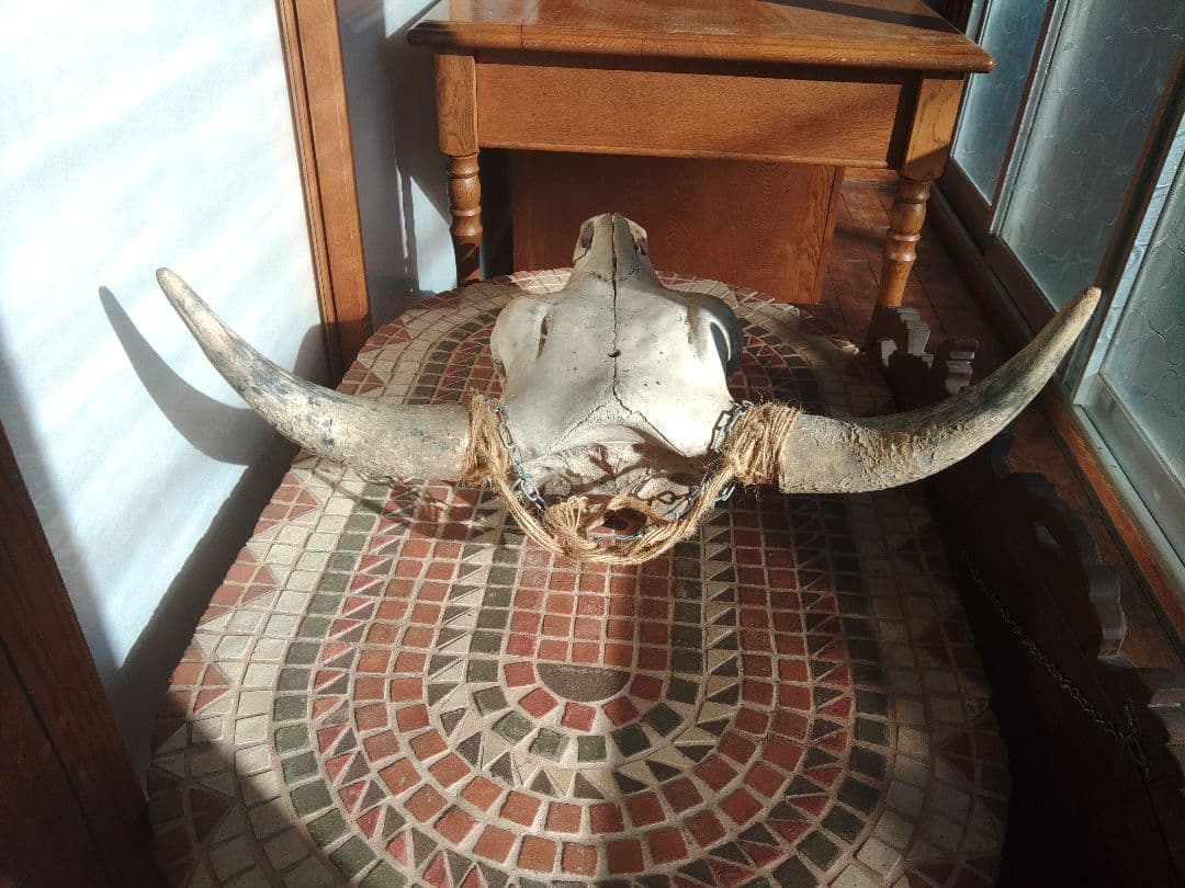 希少　スカルヘッド　バッファロー　本物　頭蓋骨　ヴィンテージ　アンティーク