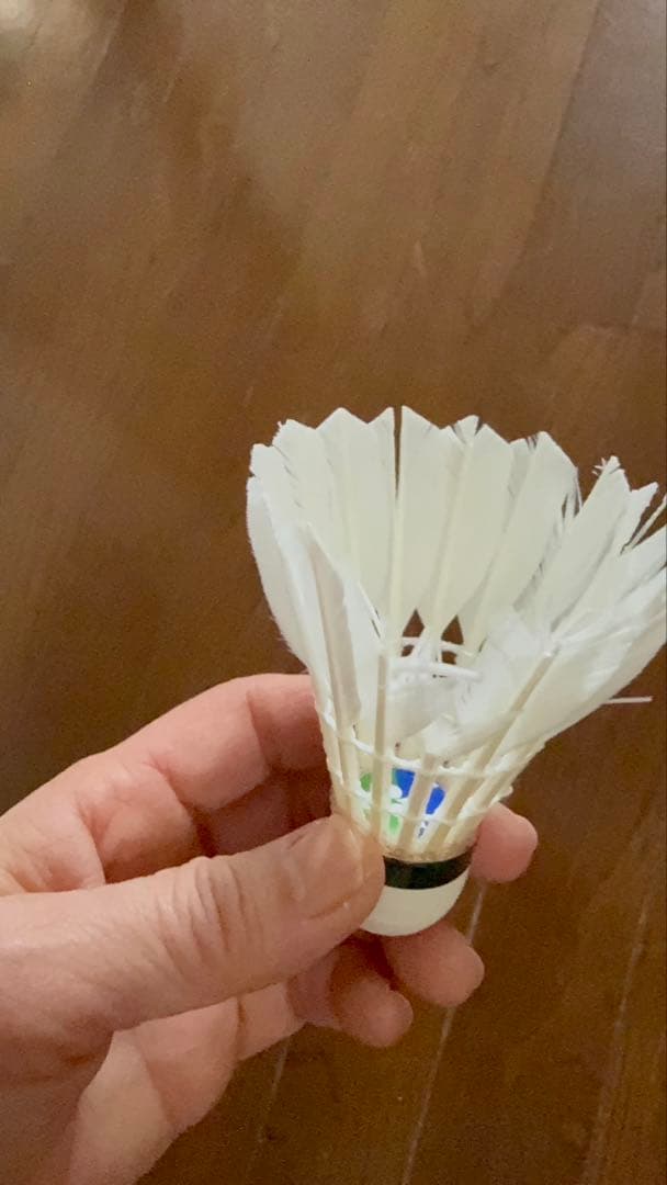 バトミントンシャトル　エアロセンサ500.600