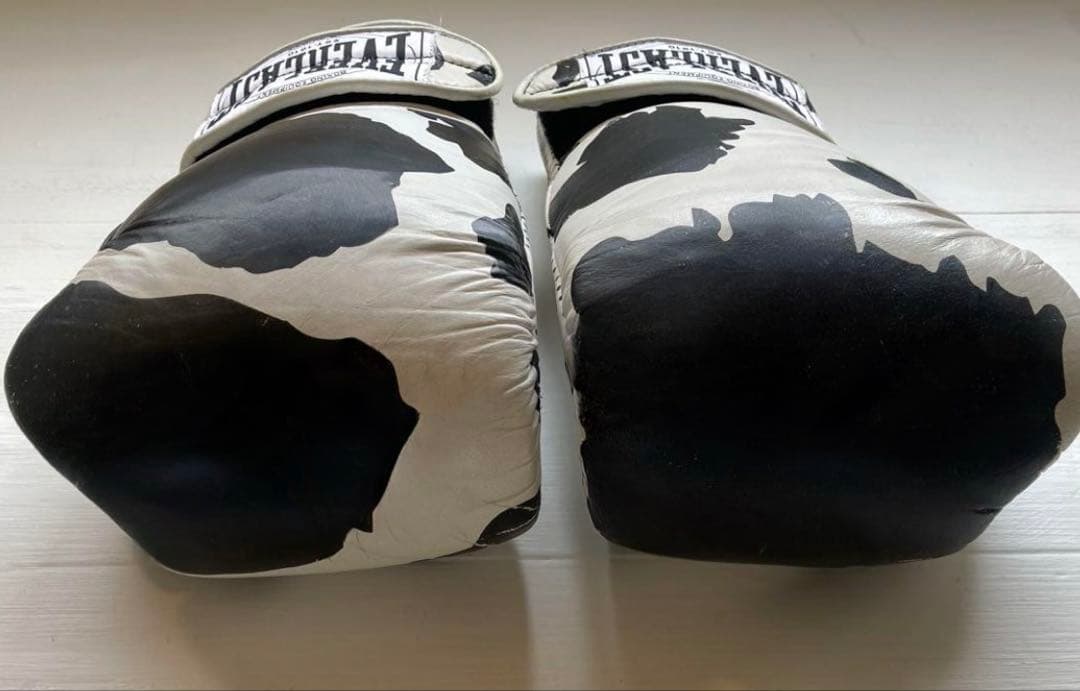 EVERLAST× Vulture / ボクシンググローブ12oz