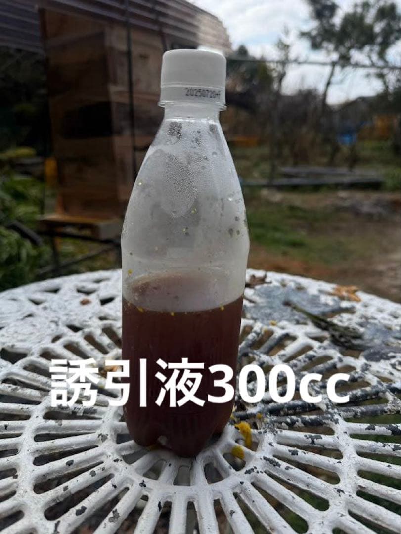 日本蜜蜂 重箱式巣箱４段　スライド底板 スノコ　誘引液300cc付　 セット割有