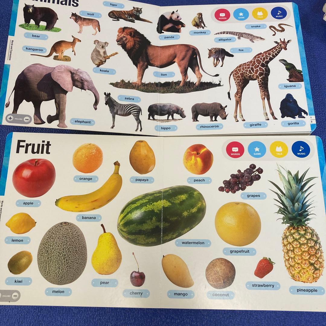 ワールドワイドキッズ　ベネッセ　タッチディクショナリー 幼児教育　知育　英語