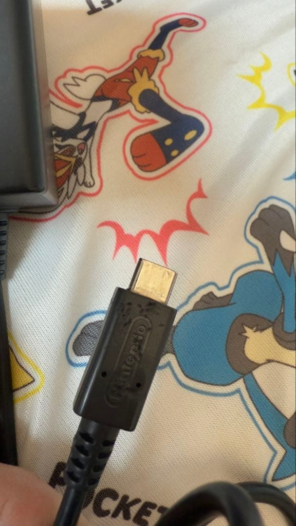 Nintendo Switch Lite 本体 ターコイズブルー ジャンク品