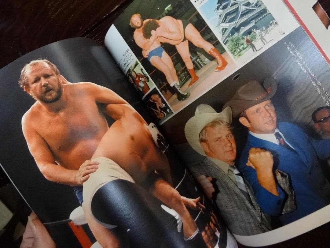 ゴング創刊13周年記念　永久保存版 THE WRESTLER BEST 100