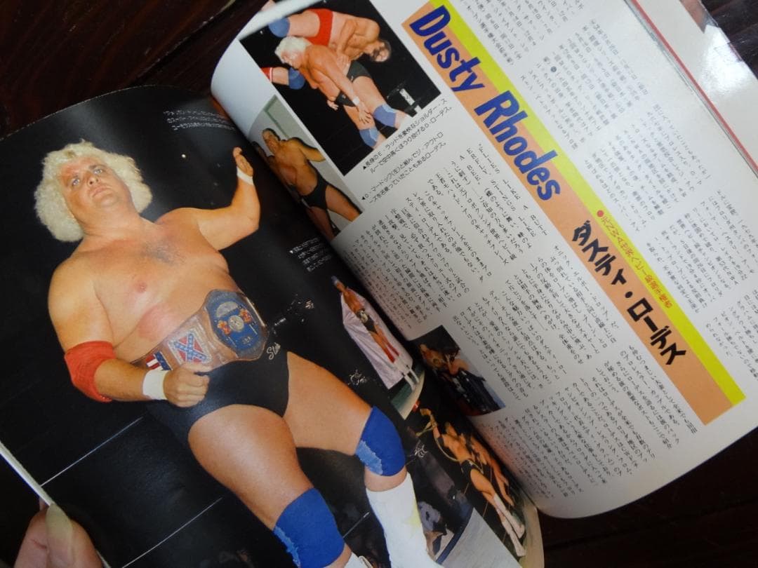 ゴング創刊13周年記念　永久保存版 THE WRESTLER BEST 100