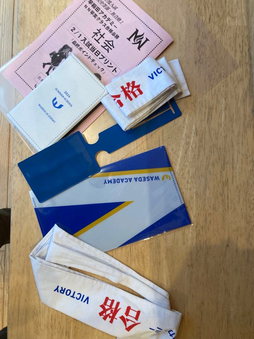 再再再値下げ！早稲アカ　NN早実　2025年1月終了組　夏期講習から直前まで