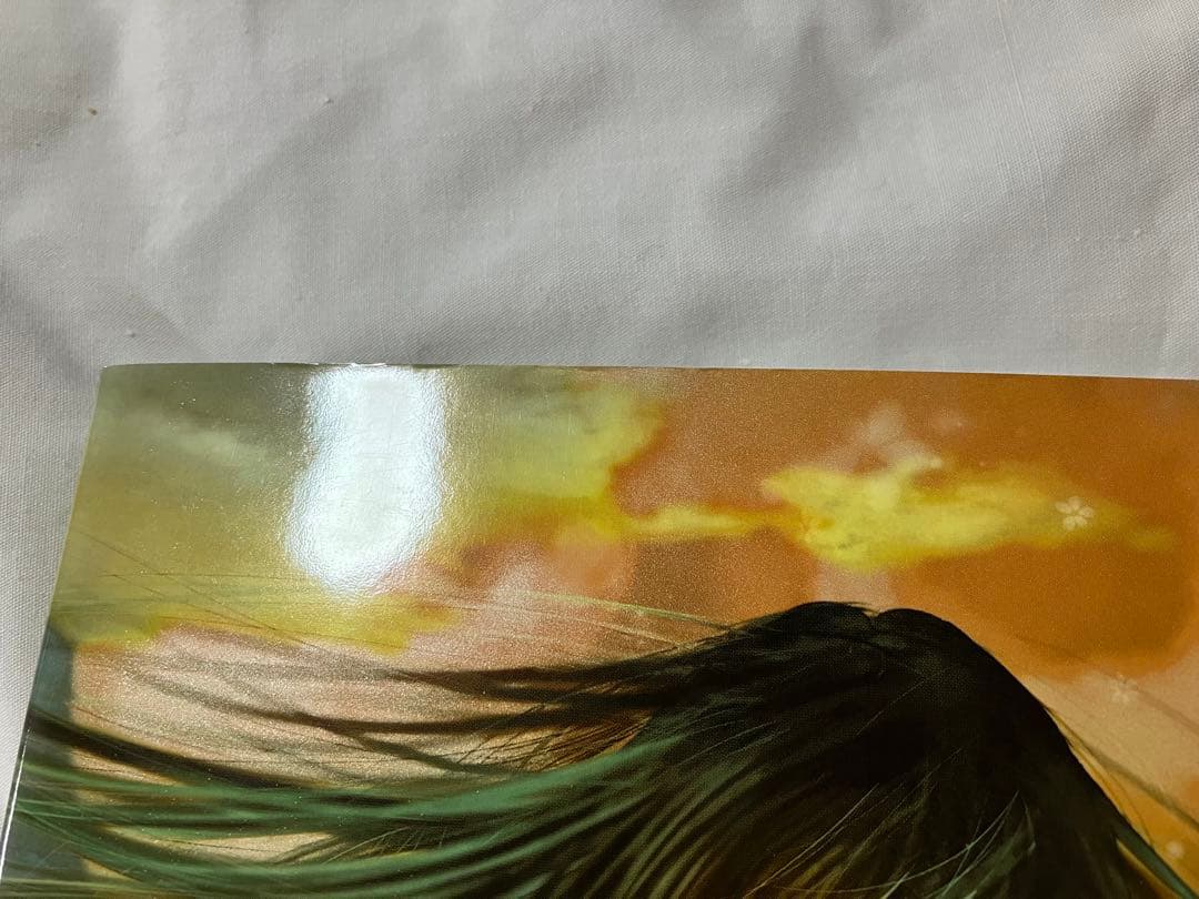 美樹本晴彦 キャラクターワークス 初版 おまけ付き