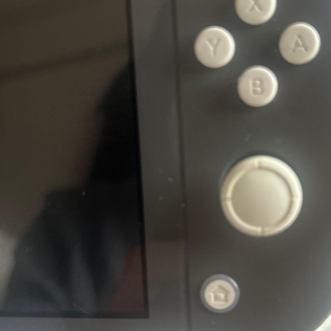 Nintendo Switch lite グレー本体
