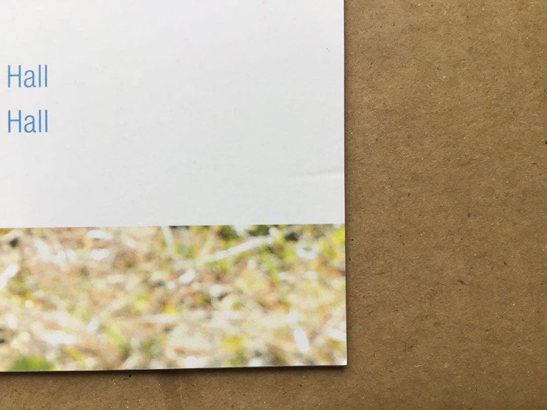 Trysail (夏川椎菜　麻倉もも　雨宮天) イベント　ライブ　パンフ10冊