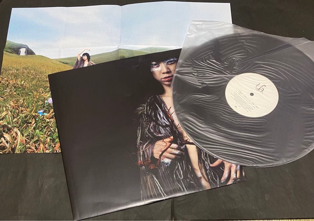 UA アナログレコード11枚