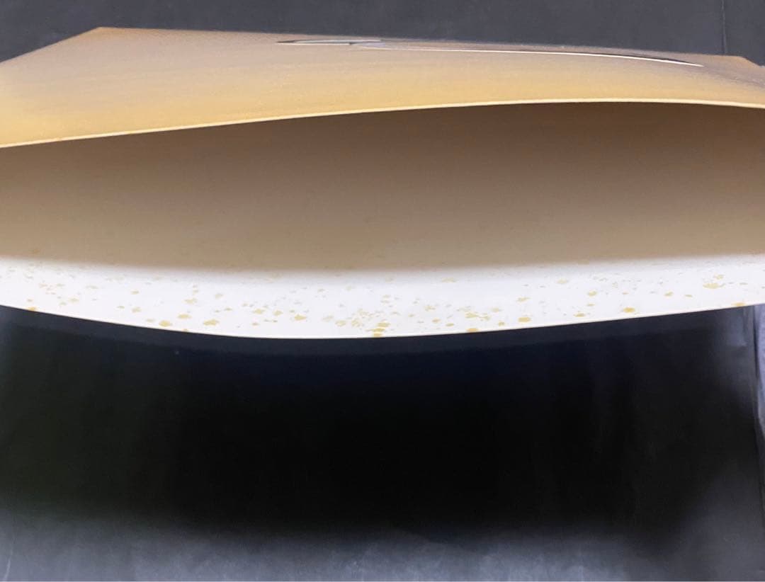 UA アナログレコード11枚