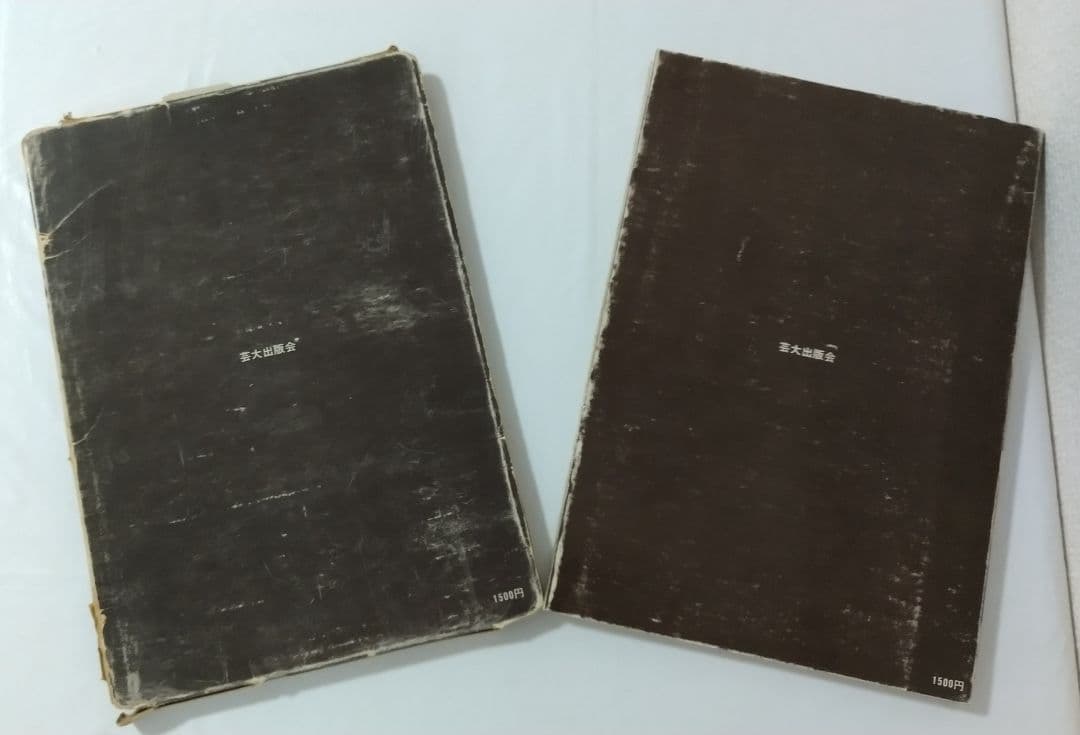 素描論 岩田弥富 芸術選書７