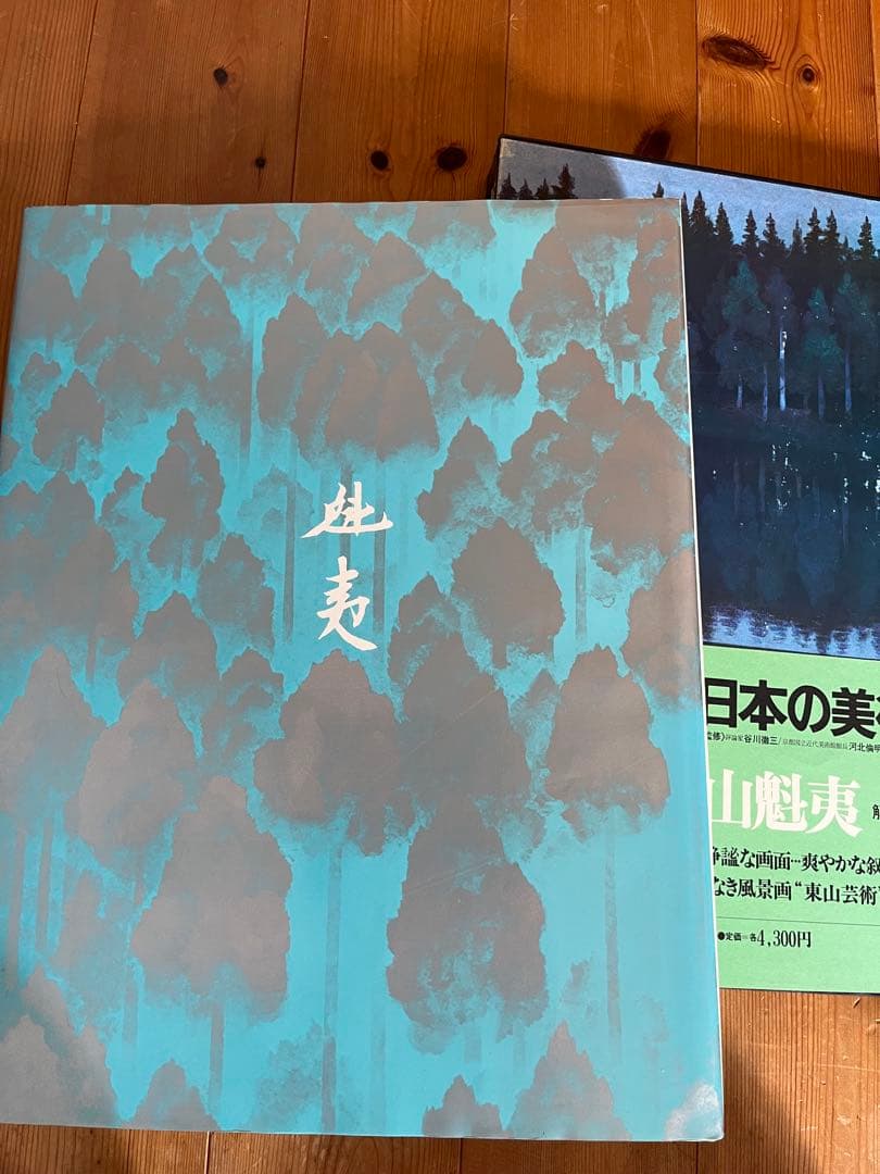 ワイド版　現代日本の美術　5〜8巻