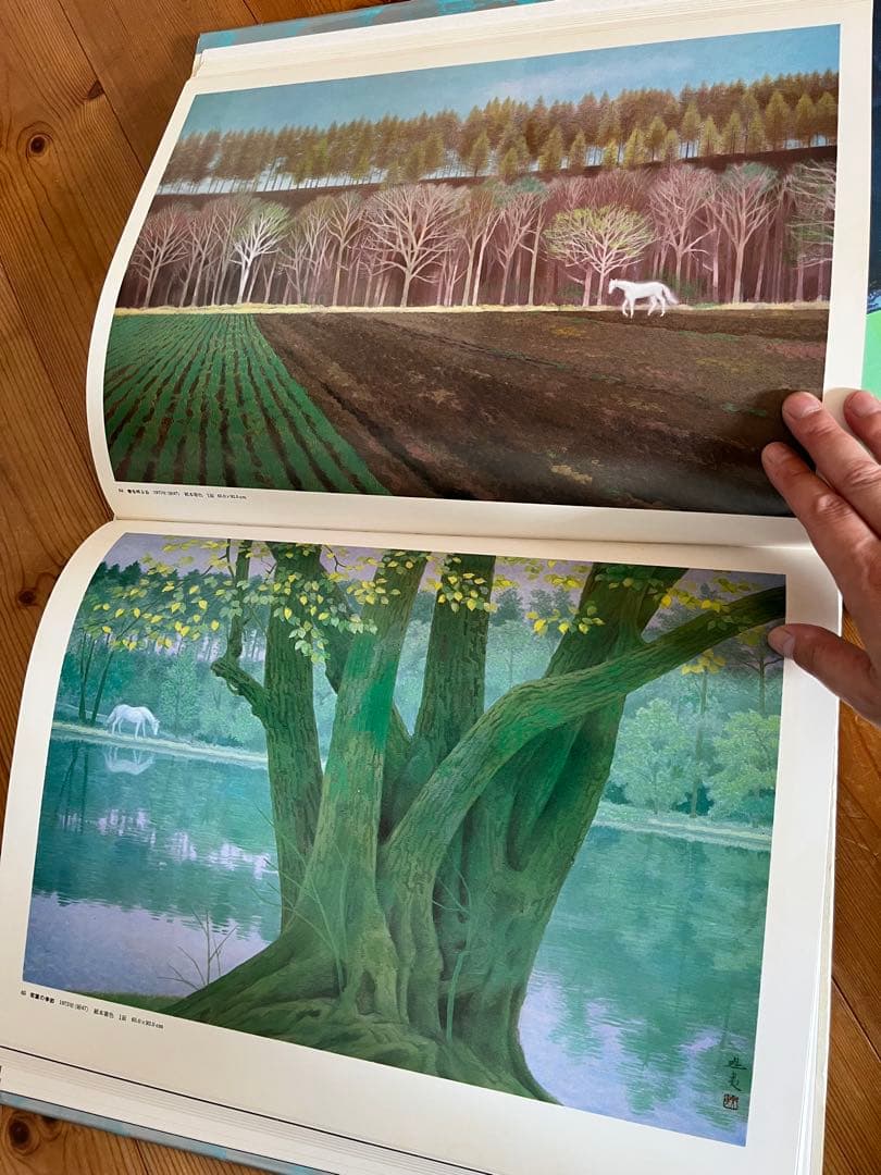 ワイド版　現代日本の美術　5〜8巻