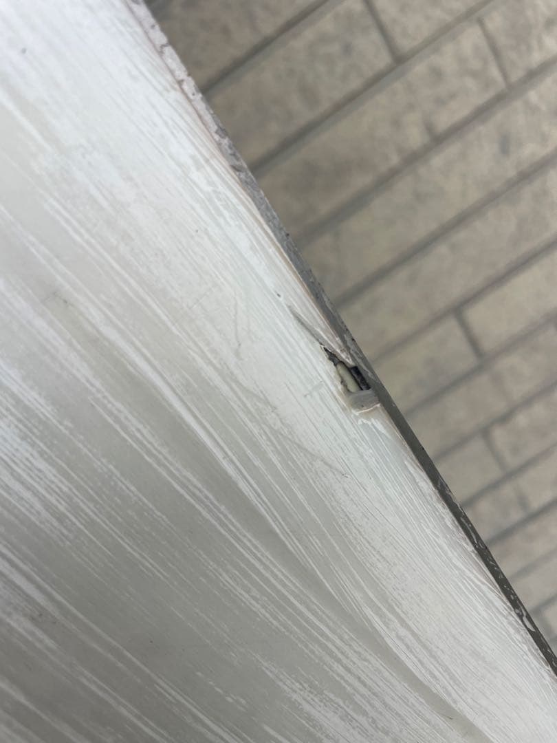 RIDE BOARD WARPIG / ワーピング 148 “S”