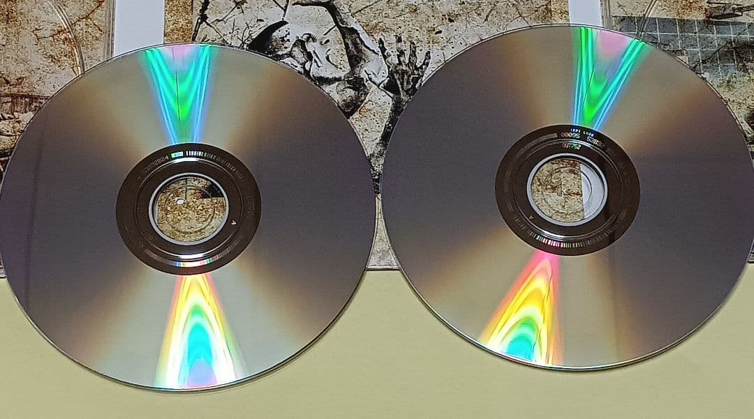 洋楽 Solar Fake Another Manic Episode